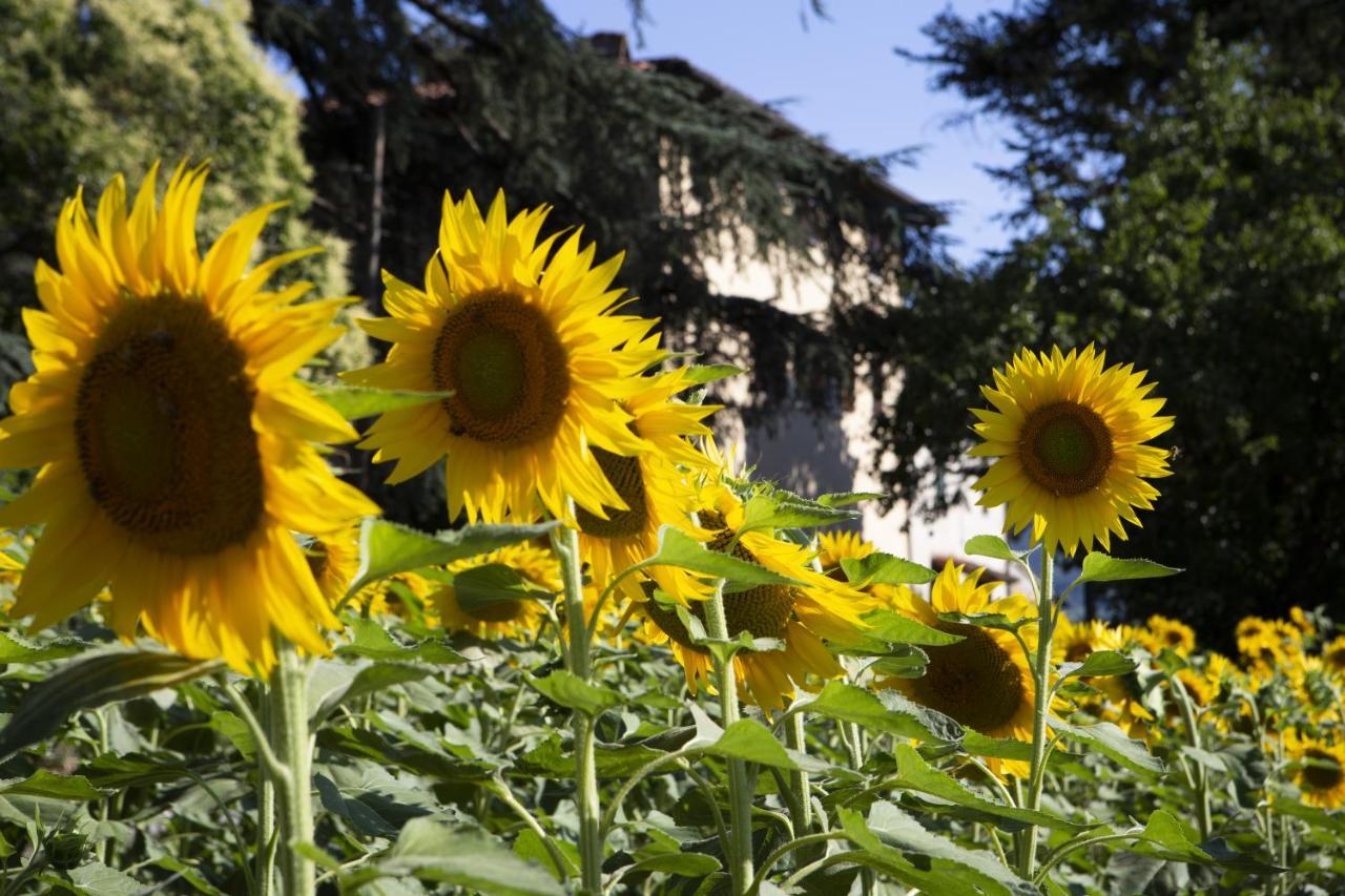 Agriturismo La Topaia Borgo San Lorenzo Exteriér fotografie