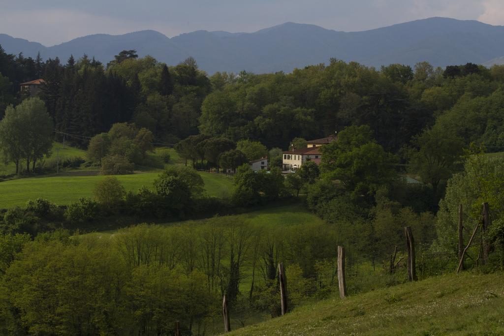 Agriturismo La Topaia Borgo San Lorenzo Exteriér fotografie