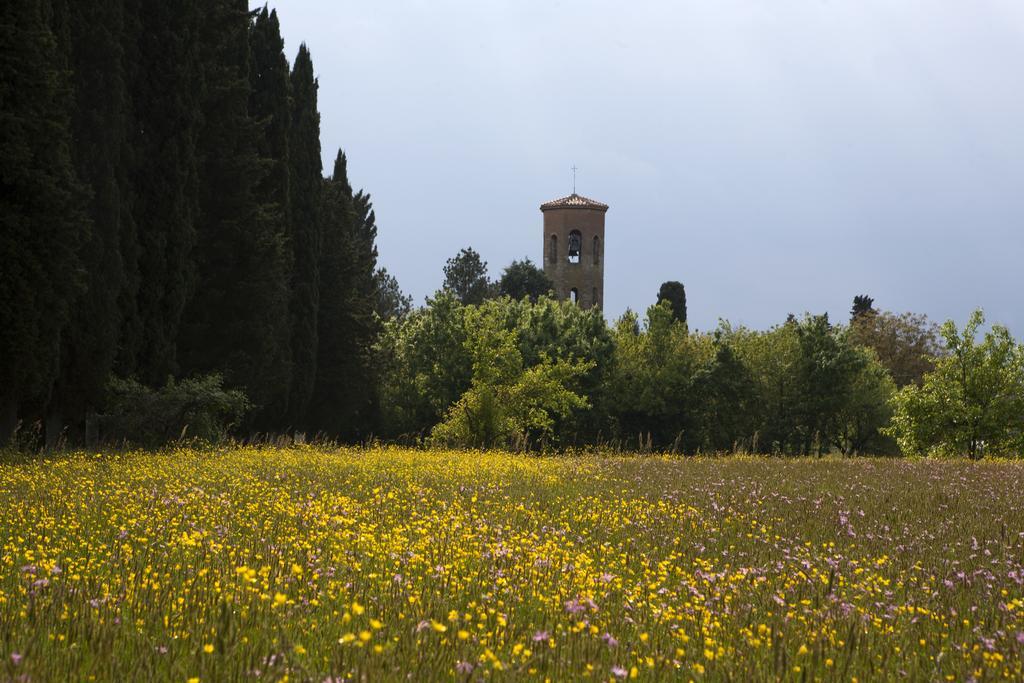 Agriturismo La Topaia Borgo San Lorenzo Exteriér fotografie