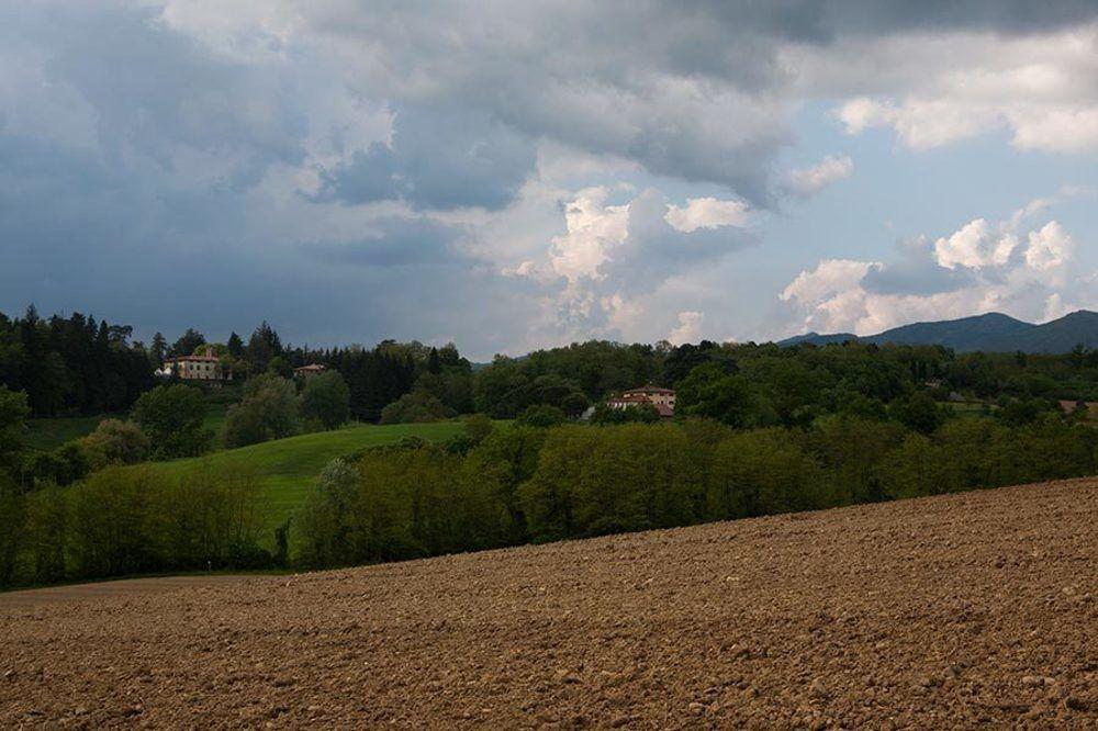 Agriturismo La Topaia Borgo San Lorenzo Exteriér fotografie
