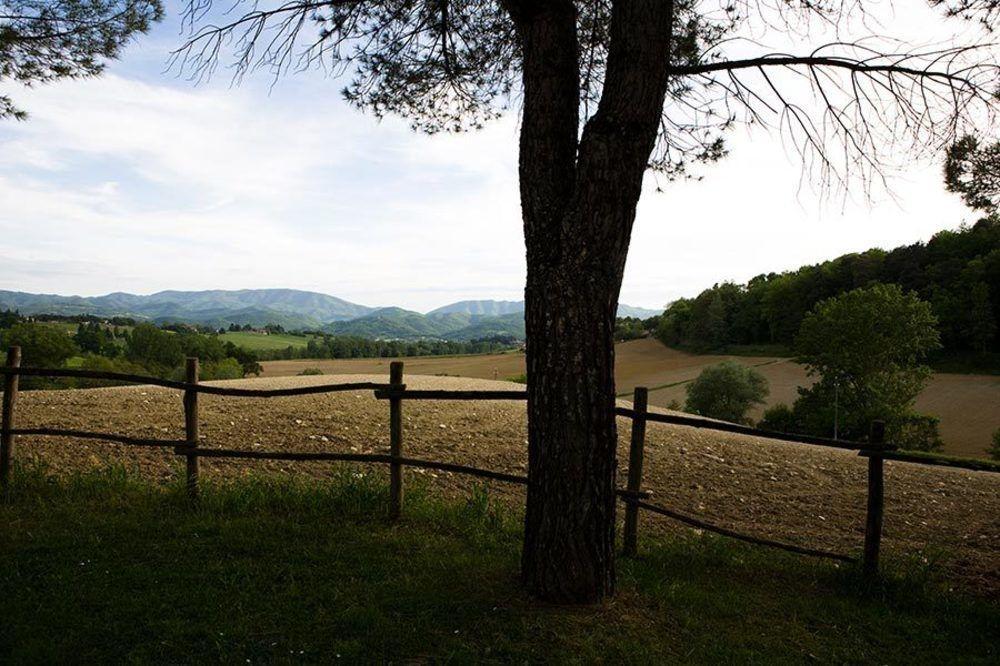 Agriturismo La Topaia Borgo San Lorenzo Exteriér fotografie