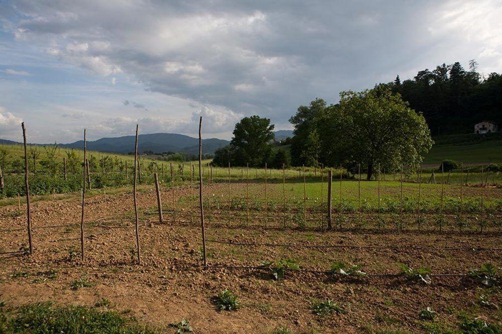 Agriturismo La Topaia Borgo San Lorenzo Exteriér fotografie