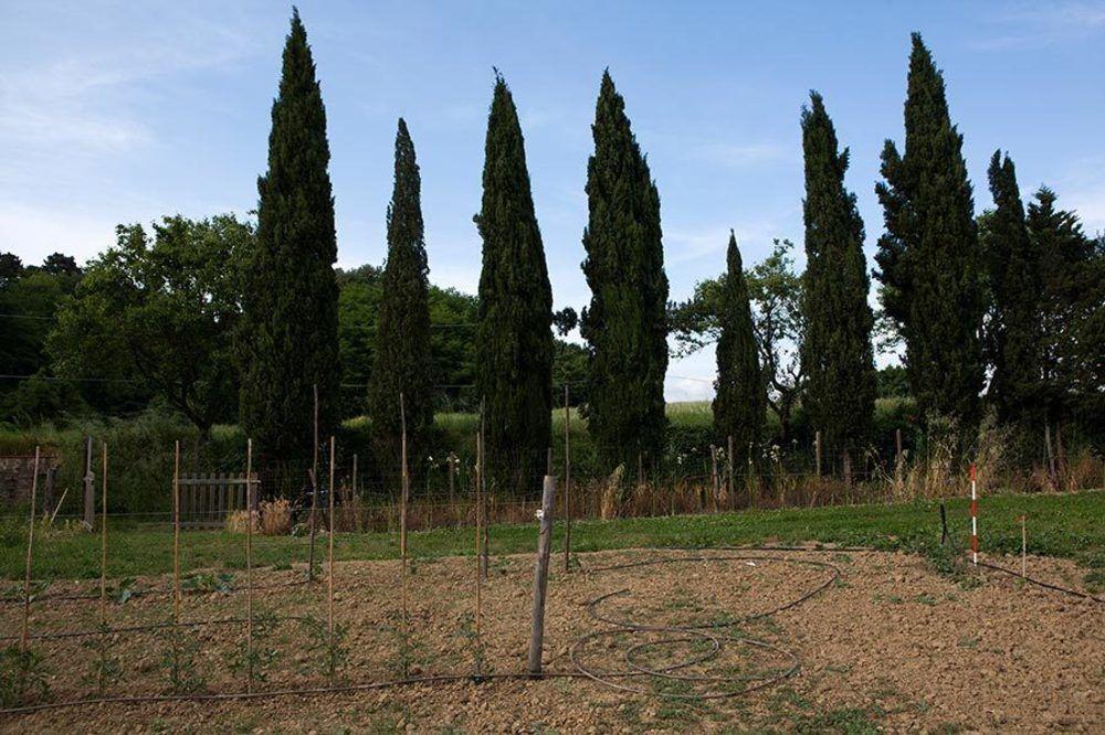 Agriturismo La Topaia Borgo San Lorenzo Exteriér fotografie